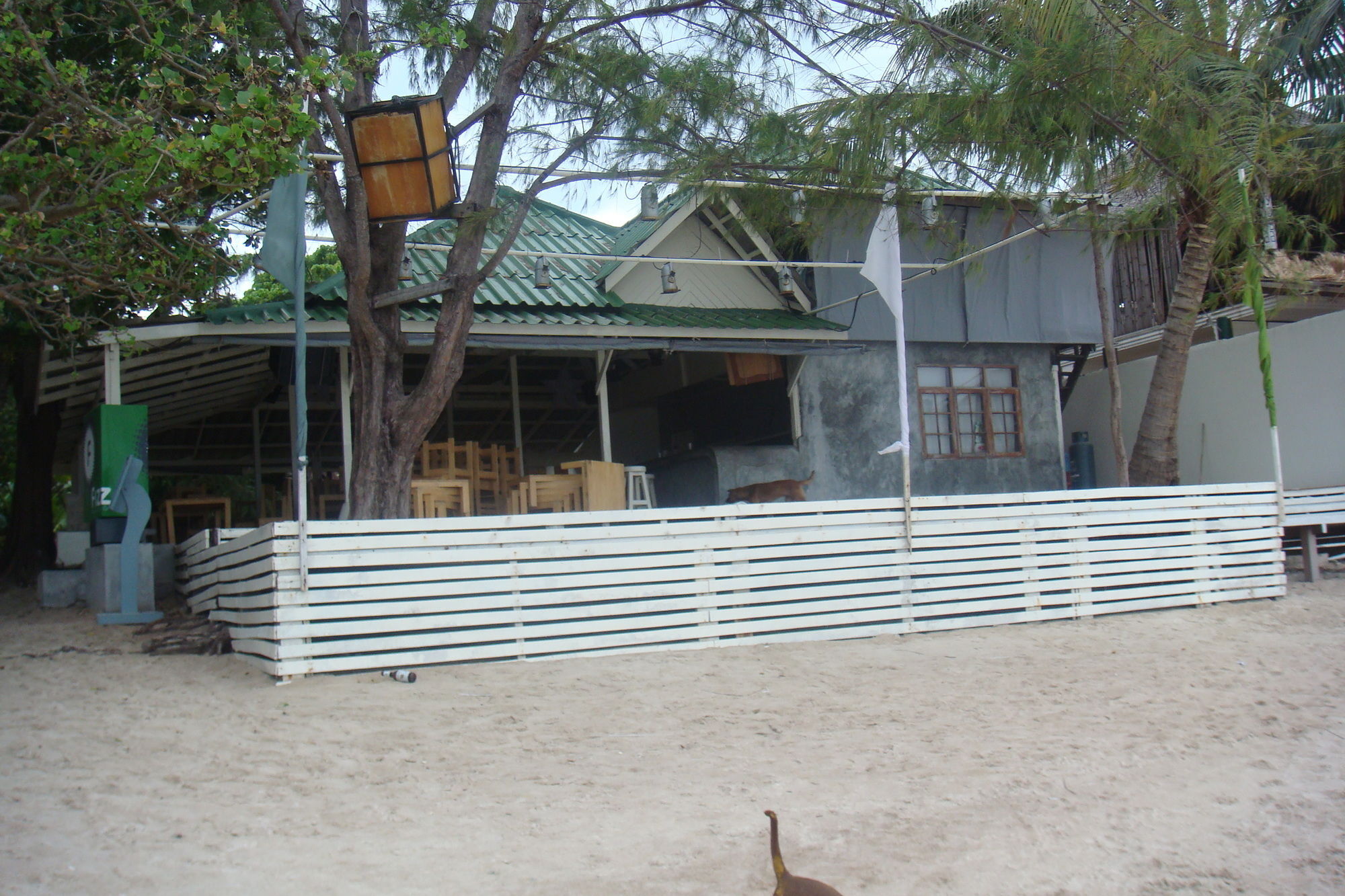 Silver Sands Beach Resort Ko Tao Exterior foto